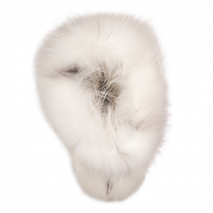 Arctic Fuchs унты из натурального меха лисы